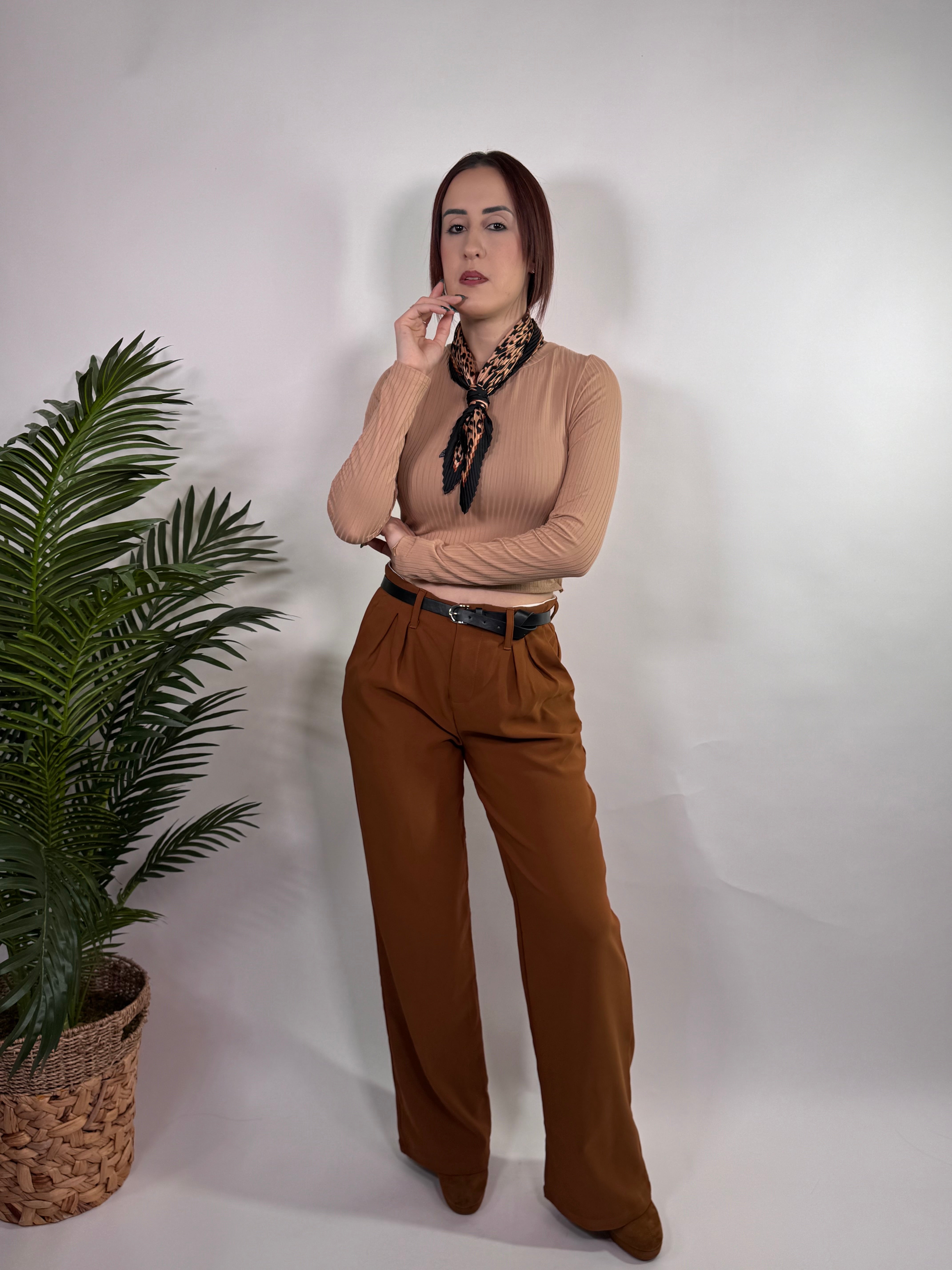 High Rise Belted Wide Pants