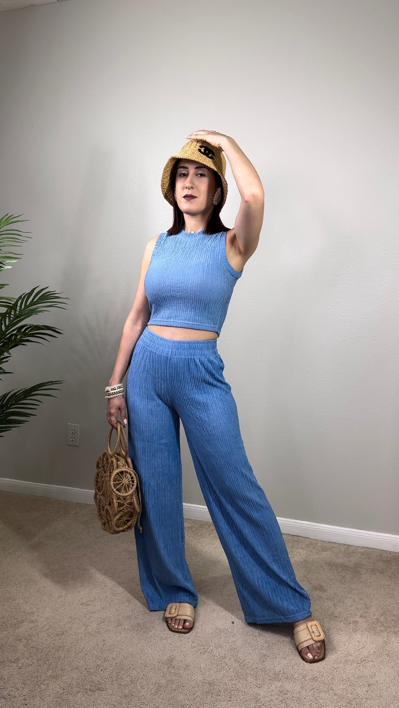 Crop Top and Wide Pants Set