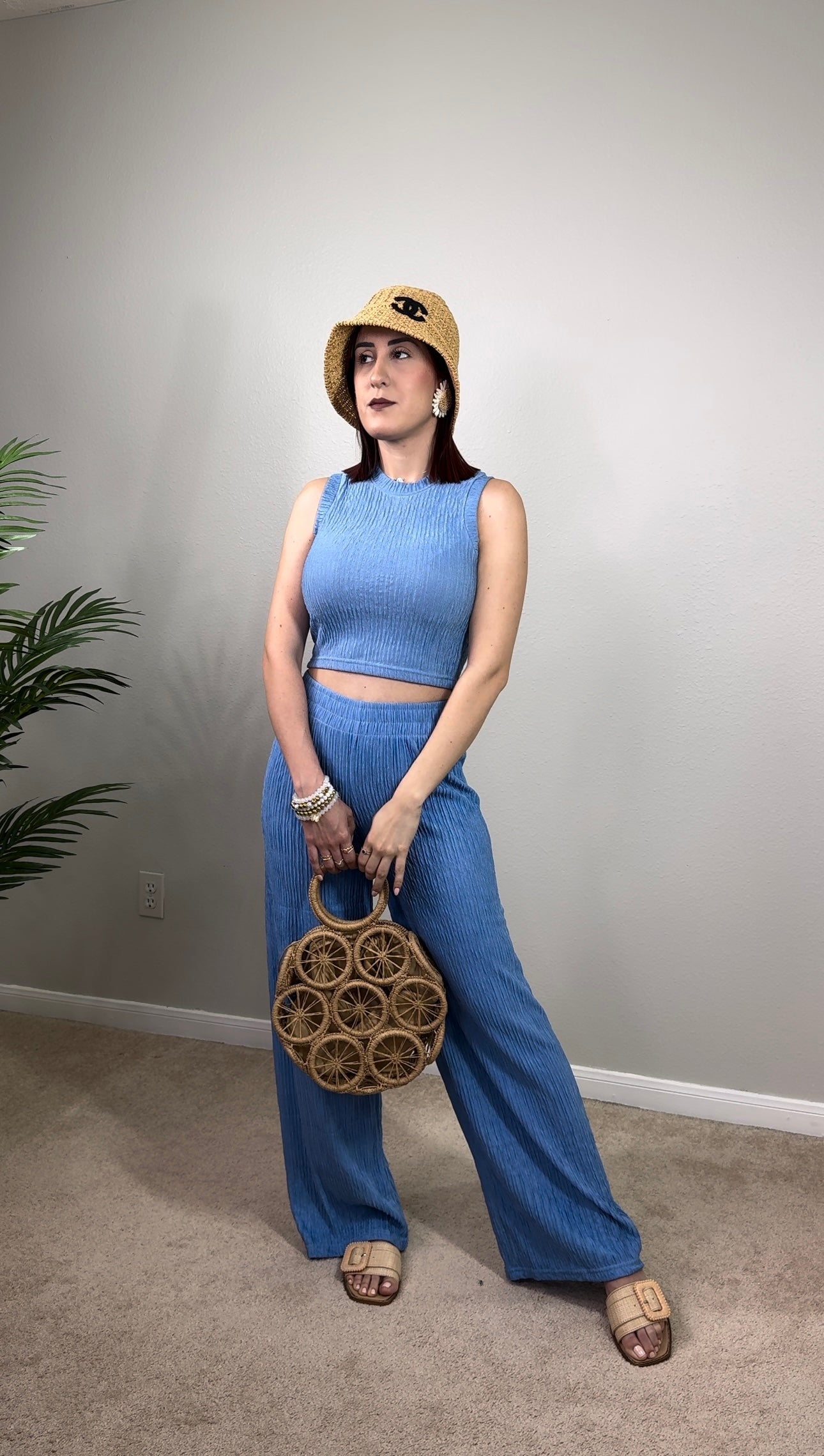 Crop Top and Wide Pants Set