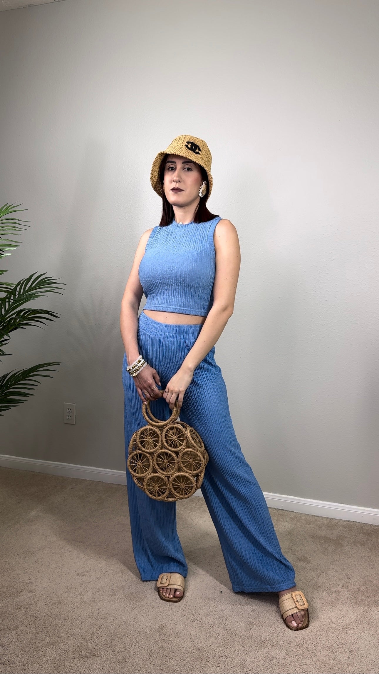 Crop Top and Wide Pants Set